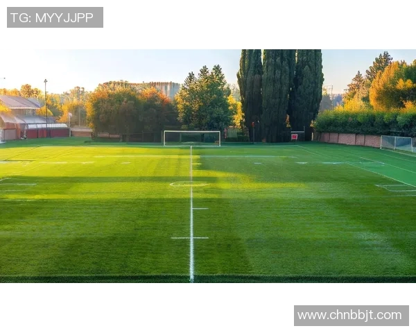 足球巨星拼图壁纸汇聚绿茵场传奇身影展现无尽激情魅力